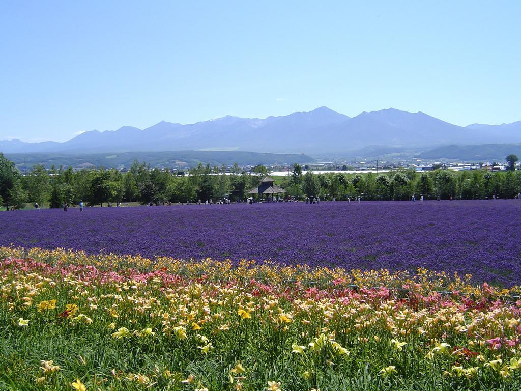 Furano Prince Hotel Extérieur photo